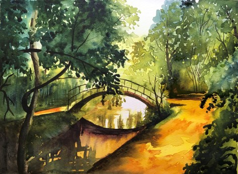 forest