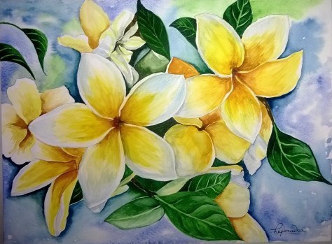 frangipani